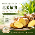 Pure Ginger Essential Oil - Indian Aromatherapy Massage Oil, Single Note