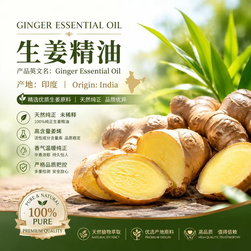 Pure Ginger Essential Oil - Indian Aromatherapy Massage Oil, Single Note