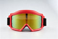 Iridescent Ski Goggles - UV Off-Road Sport