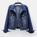 Women's Fall Versatile Minimal Long Sleeve Fitted Cropped Cardigan + Jacket + Top 202 - Light Blue