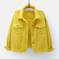 Women's Fall Korean Plus Size Long Sleeve Jacket + Top 2026 | Trendy Jacket - White