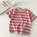 Women's Summer Embroidered Short Sleeve Striped Top 2026 | Casual Blouse - White