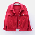 Women's Fall Korean Casual Plus Size Long Sleeve Loose Cropped Jacket + Top 2026 - White