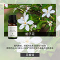 《跨境爆品现货秒发》实木苹果摆件车载香薰扩香木平安室内扩香木