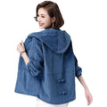 Women's Fall-Winter Korean Fashion Plus Size Loose Cropped Hoodie + Jacket 2026 - Blue