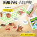 Women's Set 2026 | 2 Piece Outfit Set