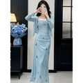 French Butterfly Print Mesh Fitted Long Dress