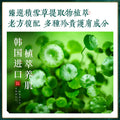 佰珍堂草本植萃去痘面膜补水保湿祛痘温和修护收缩毛孔面膜贴批发