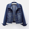 Women's Fall Versatile Minimal Long Sleeve Fitted Cropped Cardigan + Jacket + Top 202 - Light Blue