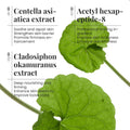 KORMESIC4D紧致清爽身体霜BODY CREAM全英文包装跨境外贸厂家批发