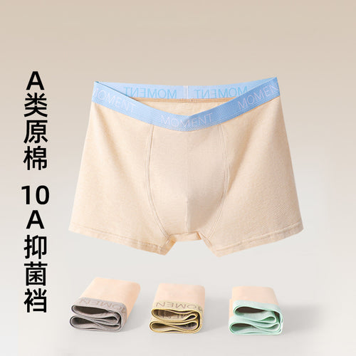 10A抑菌青少年男童纯棉a类棉10-15岁平角大童四角不夹pp男孩短裤