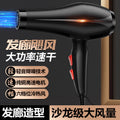 High-Power Hair Dryer - Negative Ion, Cold & Hot Air