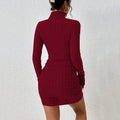 Women's Wine Red High Neck Minimal A-Line Dress