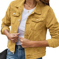 Women's Fashion Lapel Collar Cropped Neckline Jacket 2026 | Trendy Jacket - Black