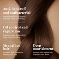 跨境KORMESIC洗护系列Hair Care Series洗发水厂家外贸现货批发