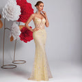 Women's Embroidered Tulle Waist-Cinching Premium Socialite Evening Gown Banquet