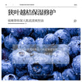 泊泉雅蓝莓熊果苷保湿面膜补水滋润保湿清爽控油细腻提亮肤色面膜