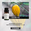 《跨境爆品现货秒发》实木苹果摆件车载香薰扩香木平安室内扩香木