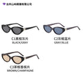 2026 New Women Sunglasses Premium Korean Style gm Cat-Eye Plate Sunglasses Premium Men Small-Frame Fashionable Glasses