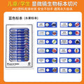 Internet celebrity children's portable microscope toy handheld mini outdoor science experiment equipment for primary and secondary school students