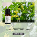 《跨境爆品现货秒发》实木苹果摆件车载香薰扩香木平安室内扩香木