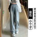 Summer Petite Tencel Drapey Lightweight Loose Elastic Wide Leg Pants + Pants