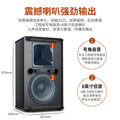 Shile AV108BX108 conference room audio combination set training classroom background music sound reinforcement system equipment
