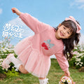 Unisex Spring Tulle Crew Neck Hoodie Dress