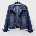 Women's Fall Korean Long Sleeve Cropped Jacket + Top 2026 | Trendy Jacket - Light Blue