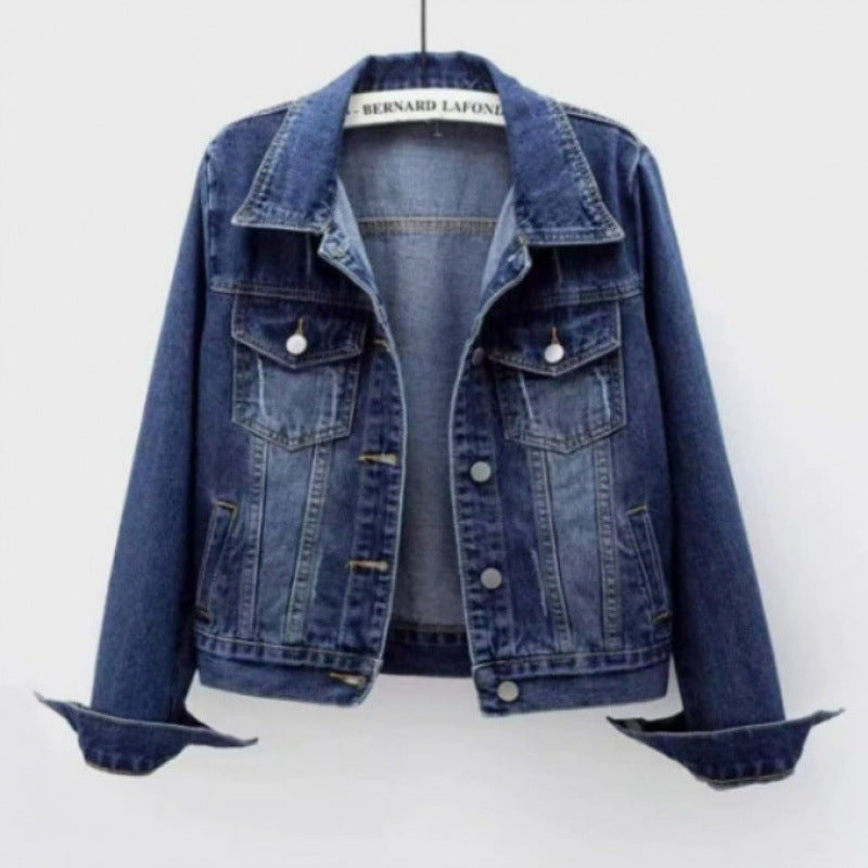 Women's Fall Korean Long Sleeve Cropped Jacket + Top 2026 | Trendy Jacket - Light Blue