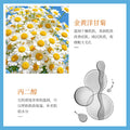 形象美玻尿酸安瓶精华水精华液 保湿烟酰胺原液补水大爽肤水批发