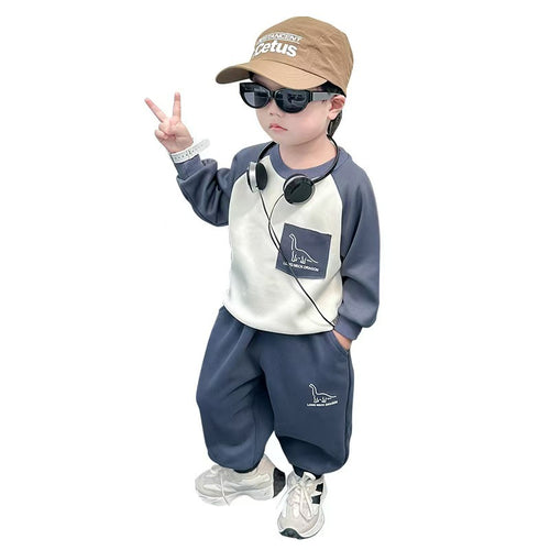 Boys' Dinosaur Print Contrast Hoodie Set