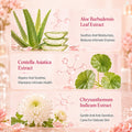 全英文KORMESIC益生元女性私密洗液prebiotic intimate wash外贸