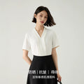Office Professional Chiffon Long Sleeve V-Neck Shirt