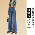 Summer Petite Tencel High Waist Drapey Lightweight Loose Wide Leg Pants + Pants
