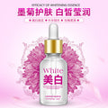 一枝春墨菊美白精华液 滋养补水嫩滑营养保湿精油护肤化妆品批发
