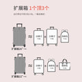 行李箱女网红复古20寸小型旅行拉杆箱24寸学生皮箱旅行箱静音轮
