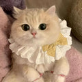 可爱蝴蝶结仙女猫咪口水巾公主风蕾丝项圈铃铛项链围兜狗狗围巾