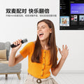 New Owl Bluetooth audio integrated microphone portable karaoke high-power wireless colorful karaoke Bluetooth speaker