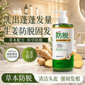 姜约防脱洗发露侧柏叶何首乌洗发露蓬松柔顺洗发水特征防脱洗发水