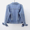 Women's Fall Versatile Minimal Long Sleeve Fitted Cropped Cardigan + Jacket + Top 202 - Light Blue