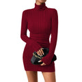 Women's Wine Red High Neck Minimal A-Line Dress