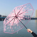 高颜值透明伞网红雨伞学生三折伞长柄伞个性文艺雨伞工厂直销批发