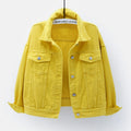 Women's Fall Korean Casual Plus Size Long Sleeve Loose Cropped Jacket + Top 2026 - White