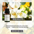 《跨境爆品现货秒发》实木苹果摆件车载香薰扩香木平安室内扩香木