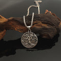 Overseas Nordic Fiber Student of Berry Two-Tone Round Brand Necklace Retro World Berry Titanium Universal Gift Pendant