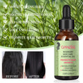 跨境爆款迷迭香护发精油Rosemary hair essential oil迷迭香精油