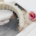 Fall/Winter New Versatile ins Breeze Sponge Boost Height Width Edge Fringe Style Headband High Crown Elegant Headband Hair Accessory