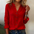 Spring-Summer Office Casual Long Sleeve V-Neck Shirt