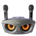 New version of Owl SD306PLUS amplified version of Bluetooth audio home party KTV wireless double chorus speaker